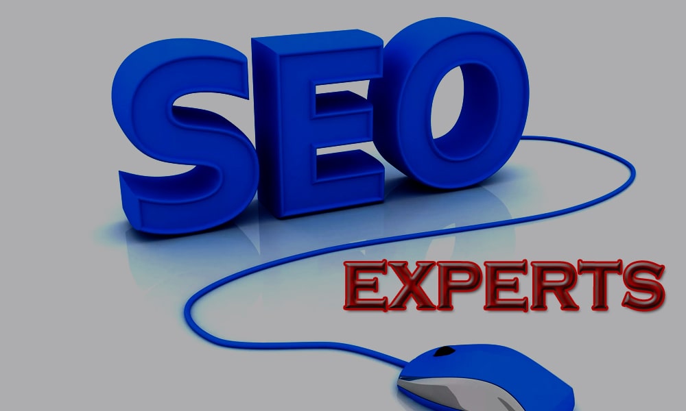 seo-experts-technogleam